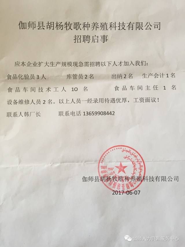 伊吾县科技局及关联企业招聘启事概览