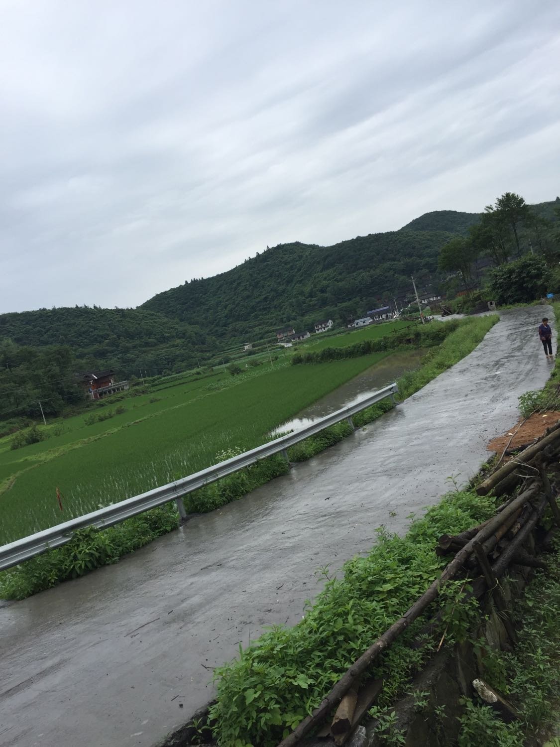 岔林村民委员会天气预报更新通知