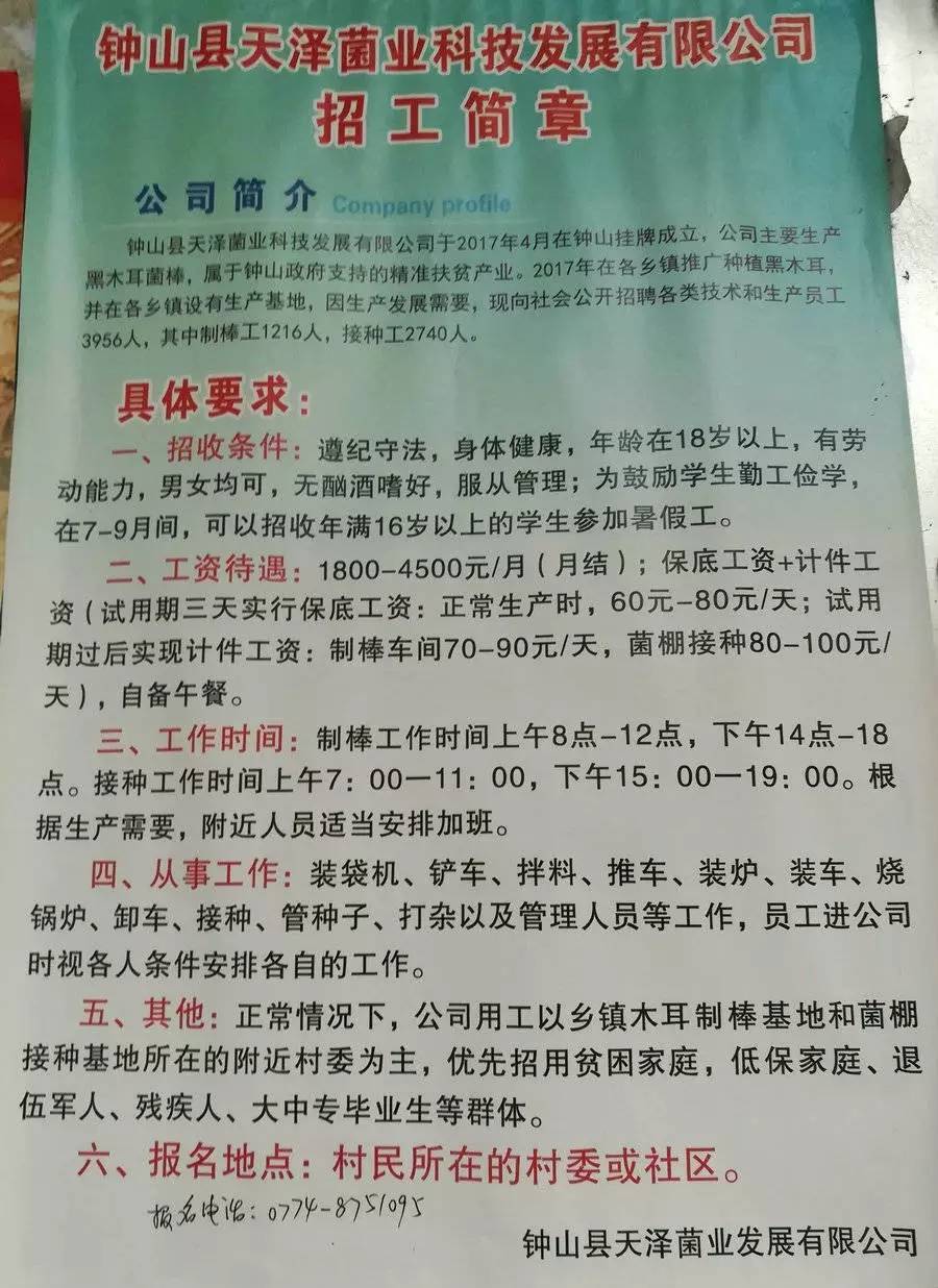 杂日村最新招聘信息全面解析